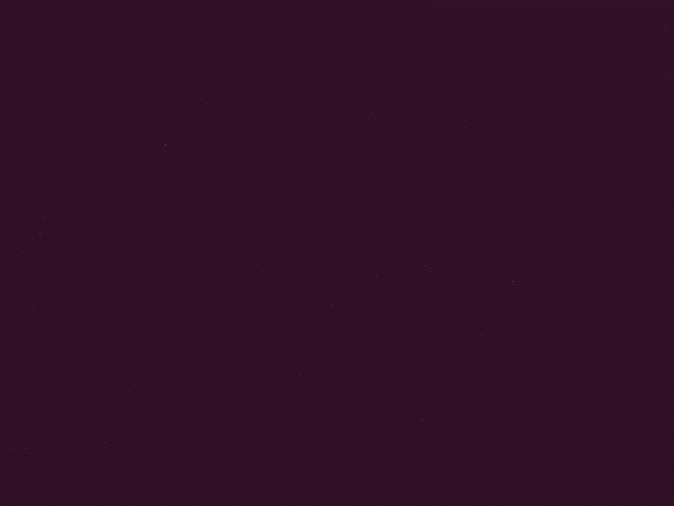 zoom colori GARDIAN II M1 prune, violet